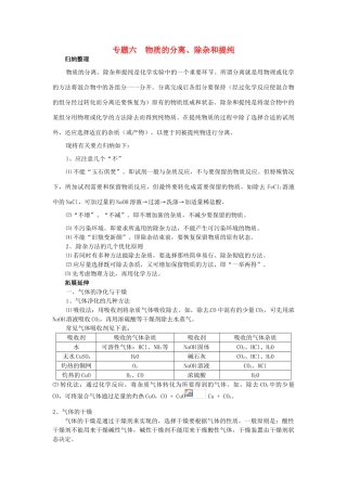 中考化学总复习 专题六 物质的分离学案-人教版初中九年级全册化学学案