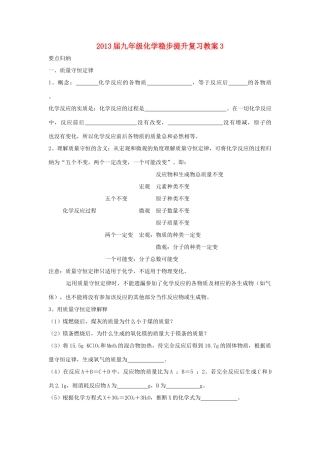 2013届九年级化学稳步提升复习教案3