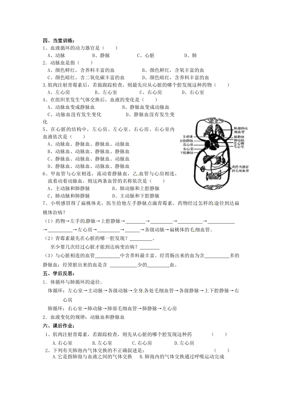八年级科学上册 7.3人体内的物质运输第四课时学案（无答案）华东师大版_第2页
