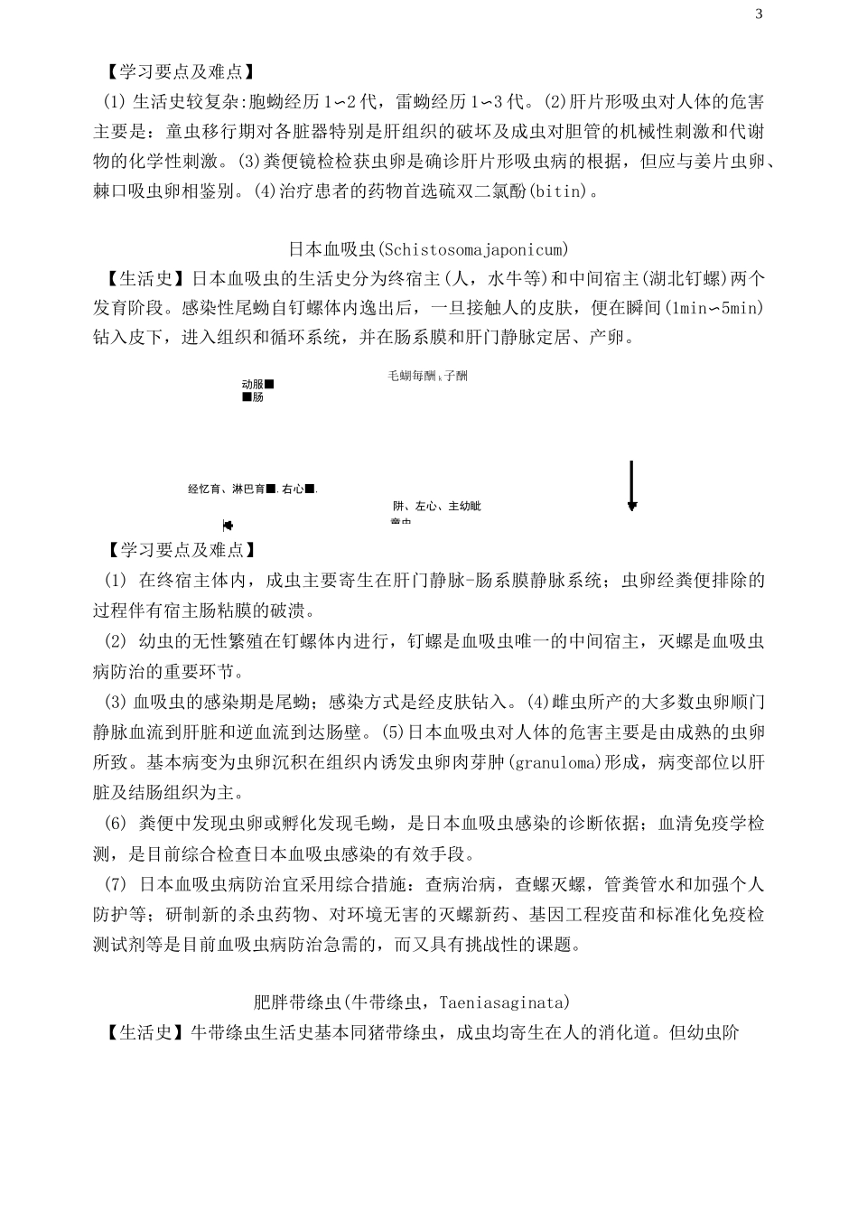 人体寄生虫学 生活史图汇总_第3页