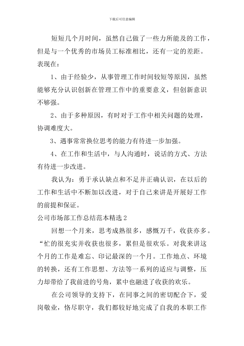 公司市场部工作总结范本精选_第3页