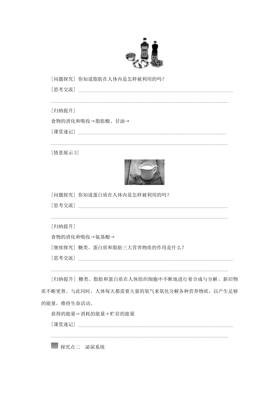 秋九年级科学上册 第4章 代谢与平衡 第5节 体内物质的动态平衡学案（无答案）（新版）浙教版-（新版）浙教版初中九年级上册自然科学学案_第3页