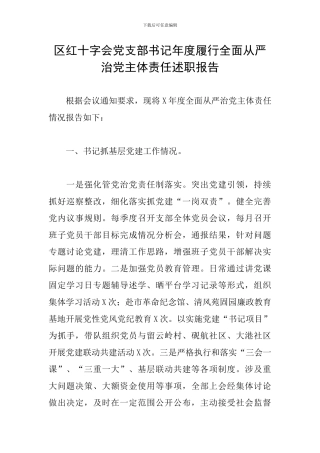 区红十字会党支部书记年度履行全面从严治党主体责任述职报告
