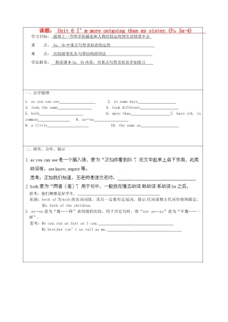 湖南省吉首市民族中学八年级英语《Unit 6 I’m more outgoing than my sister》学案2