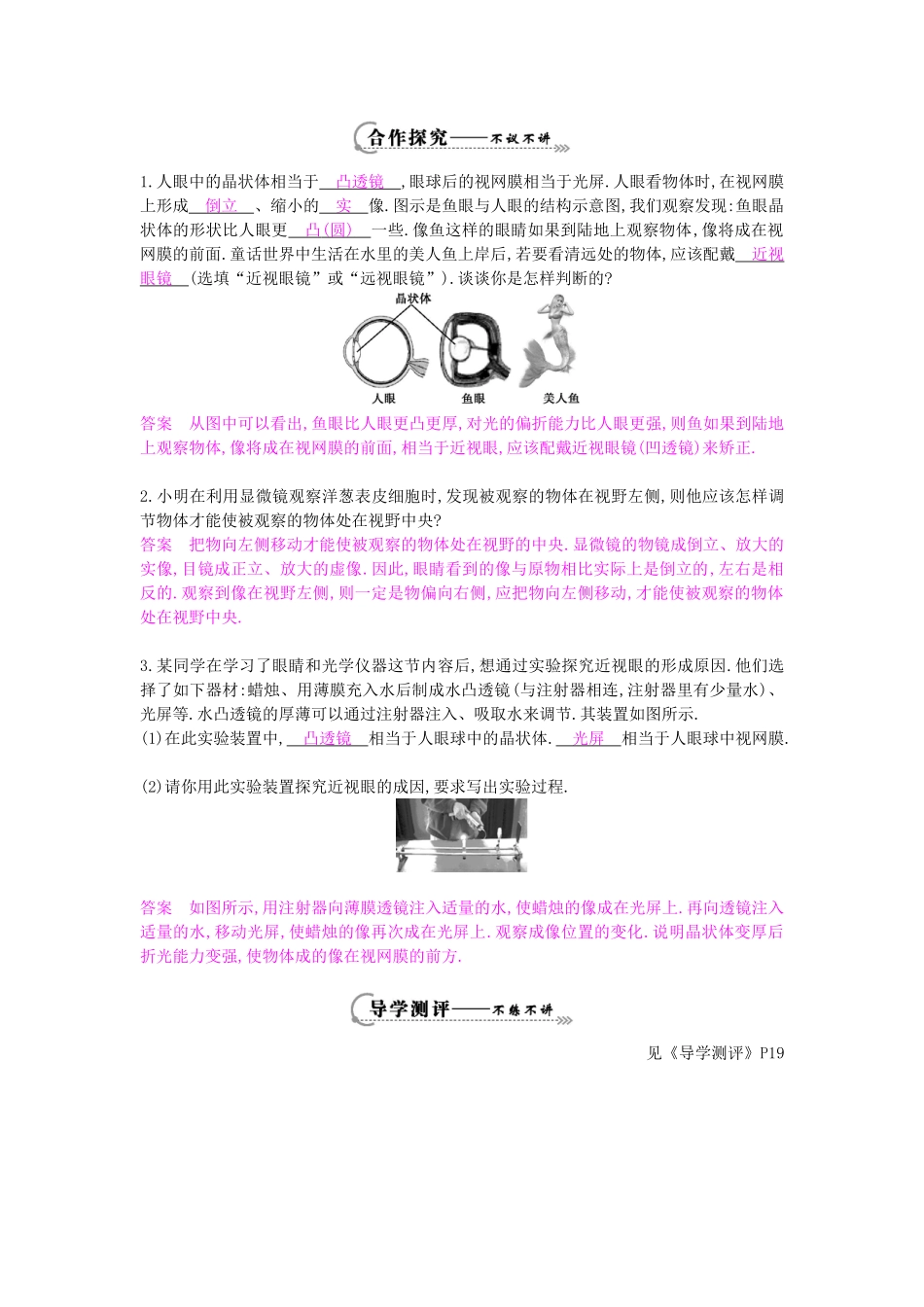 秋八年级物理上册 第3章 第7节《眼睛与光学仪器》导学案 粤教沪版-粤教沪版初中八年级上册物理学案_第2页