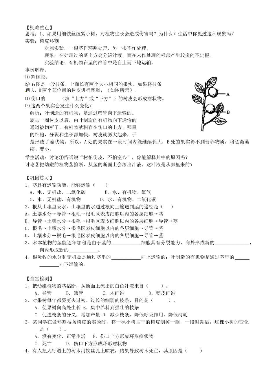 浙江省临海市新概念教育咨询有限公司八年级科学下册 第三章《植物体中物质的运输》学案 浙教版_第2页