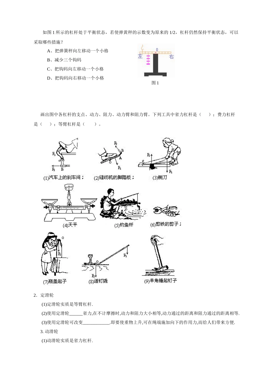 中考物理 第九章 简单机械总复习教学案_第2页