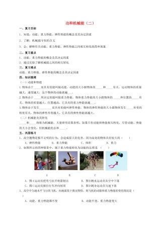 中考物理专题复习 功和机械能（二）学案-人教版初中九年级全册物理学案