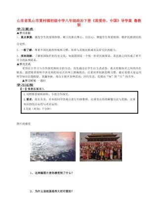 山东省乳山市夏村镇初级中学八年级政治下册《我爱你，中国》导学案（无答案） 鲁教版