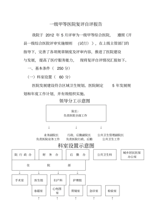 一级甲等医院复评自评报告