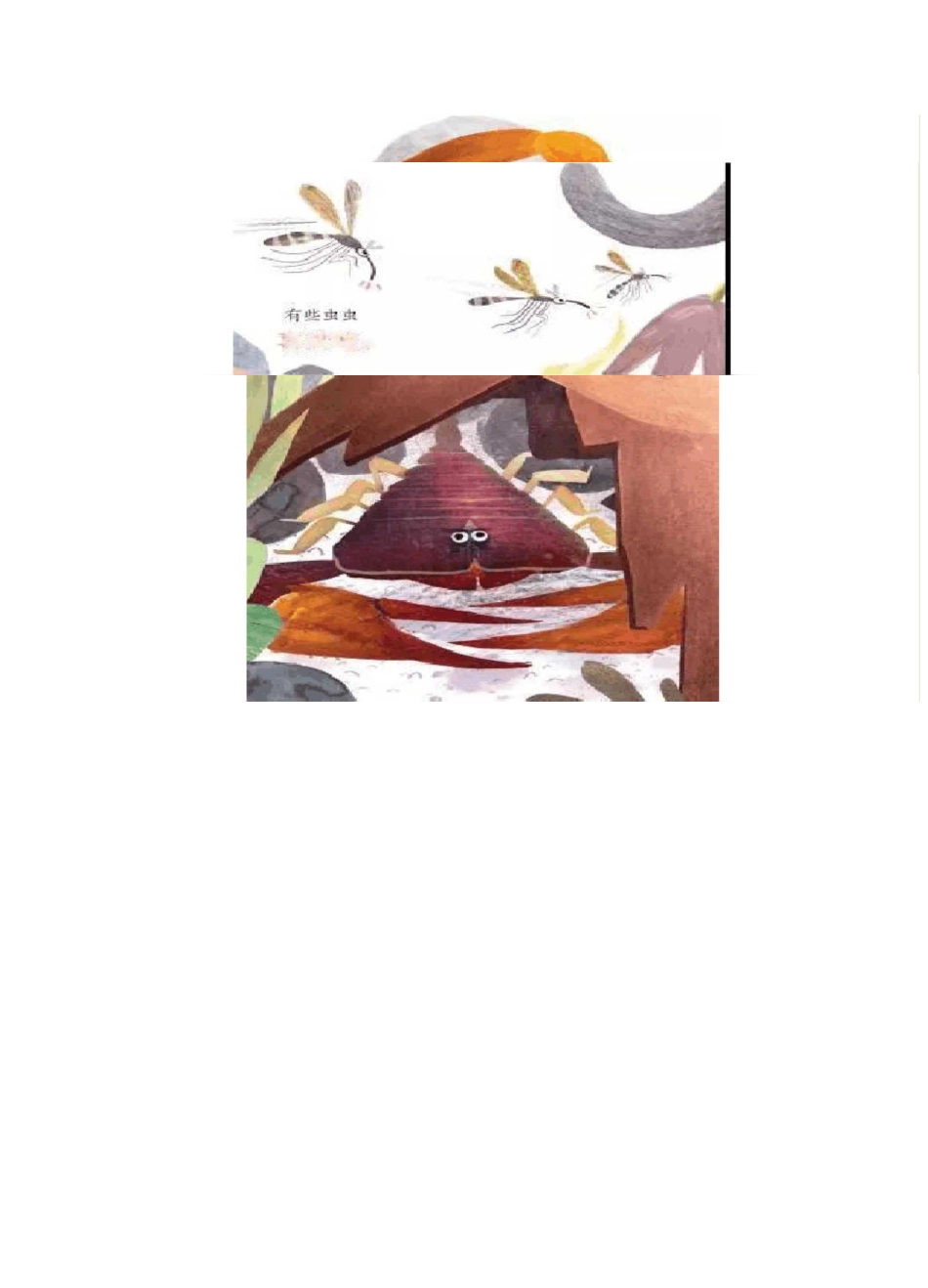 少儿昆虫科普读物,乐乐趣《小虫虫的多彩生活》_第3页