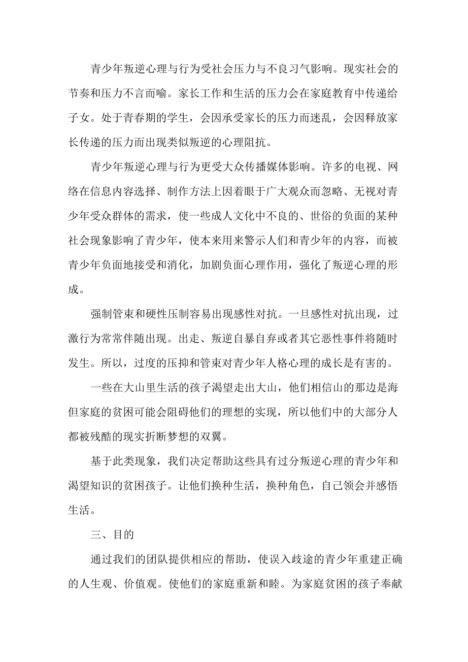 青少年公益项目策划书_第2页