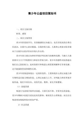 青少年公益项目策划书