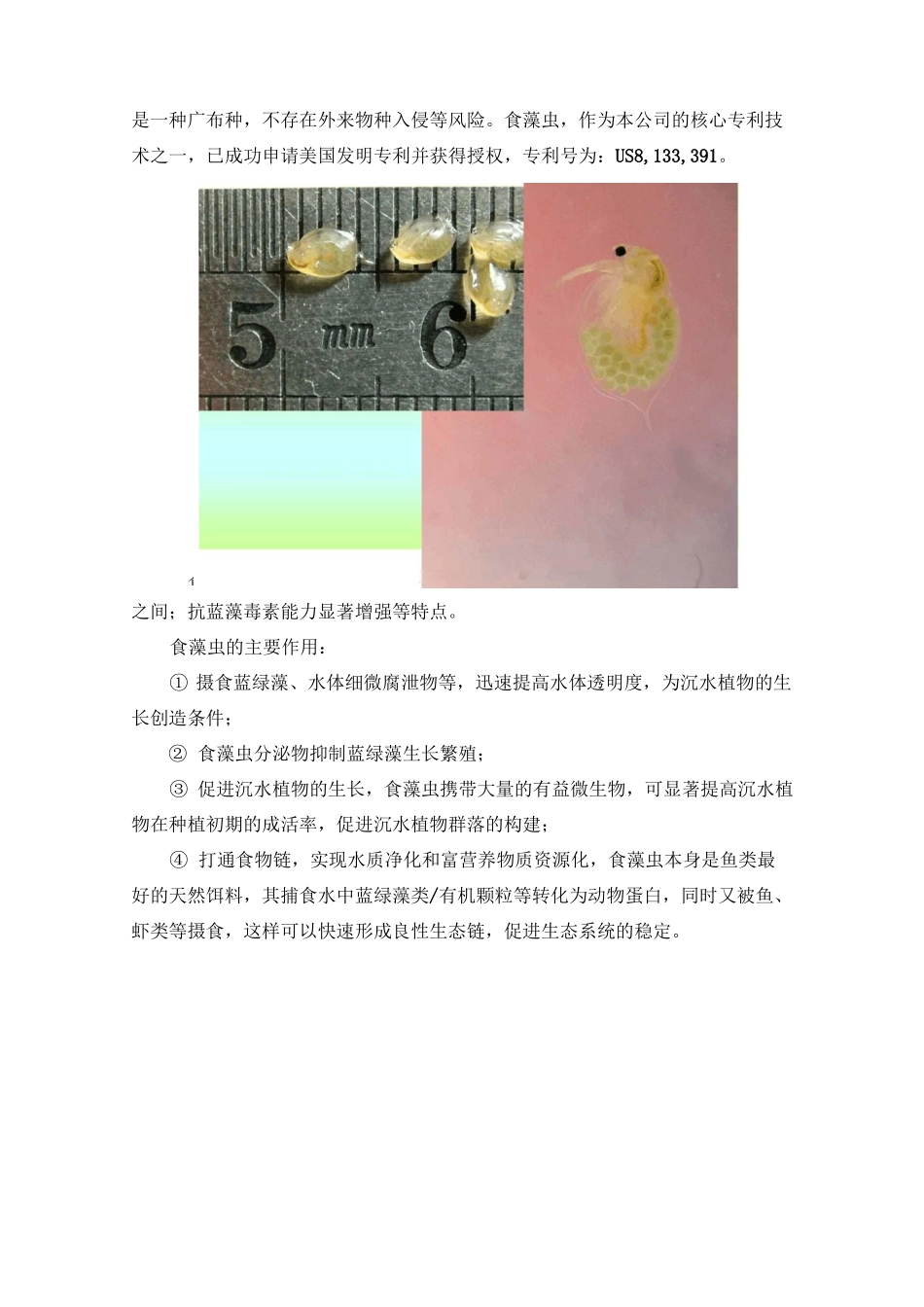 食藻虫技术的稳定性_第2页
