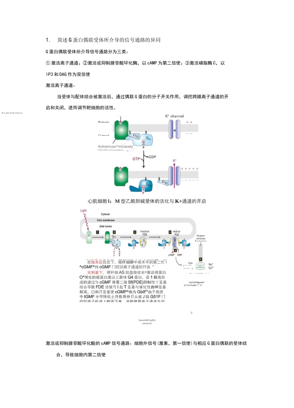 细胞生物学简答题整理_第1页