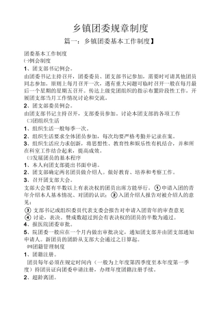 乡镇团委规章制度