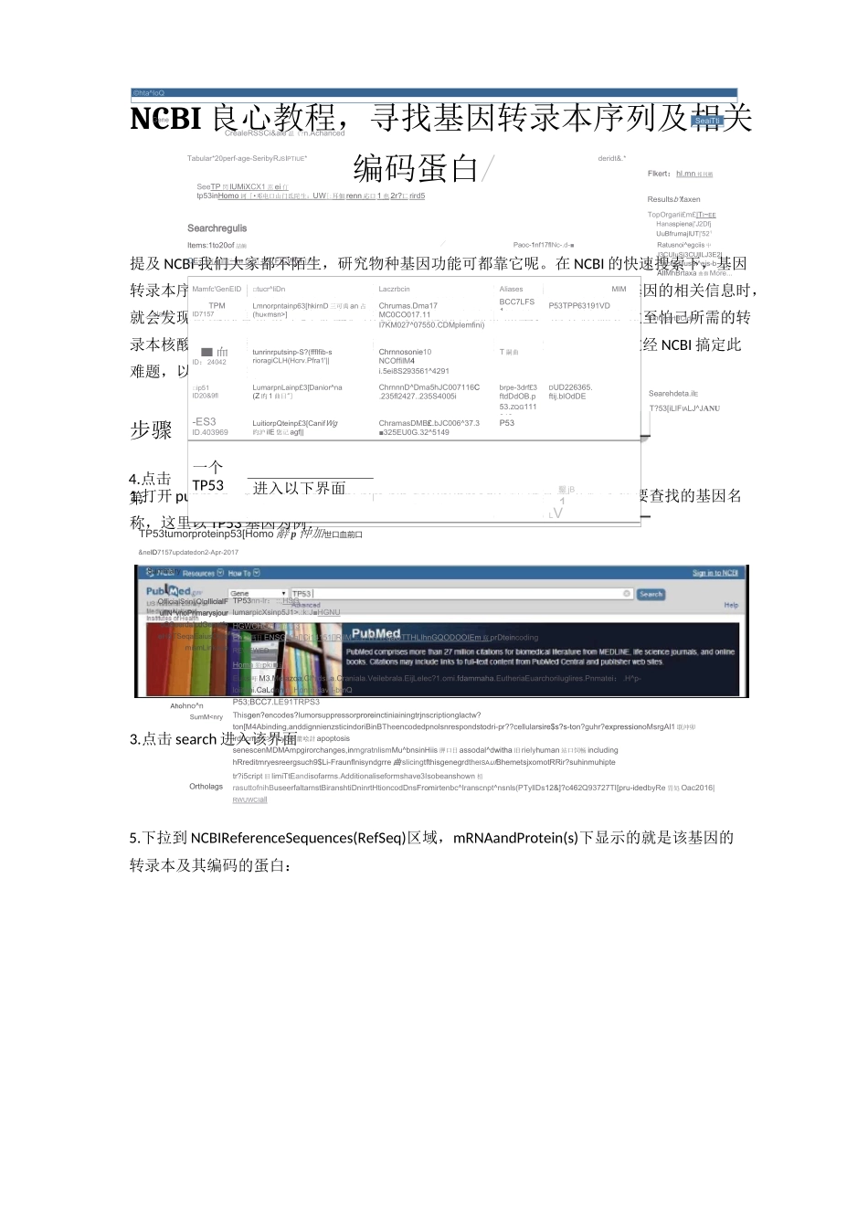 NCBI 良心教程,寻找基因转录本序列及相关编码蛋白_第1页