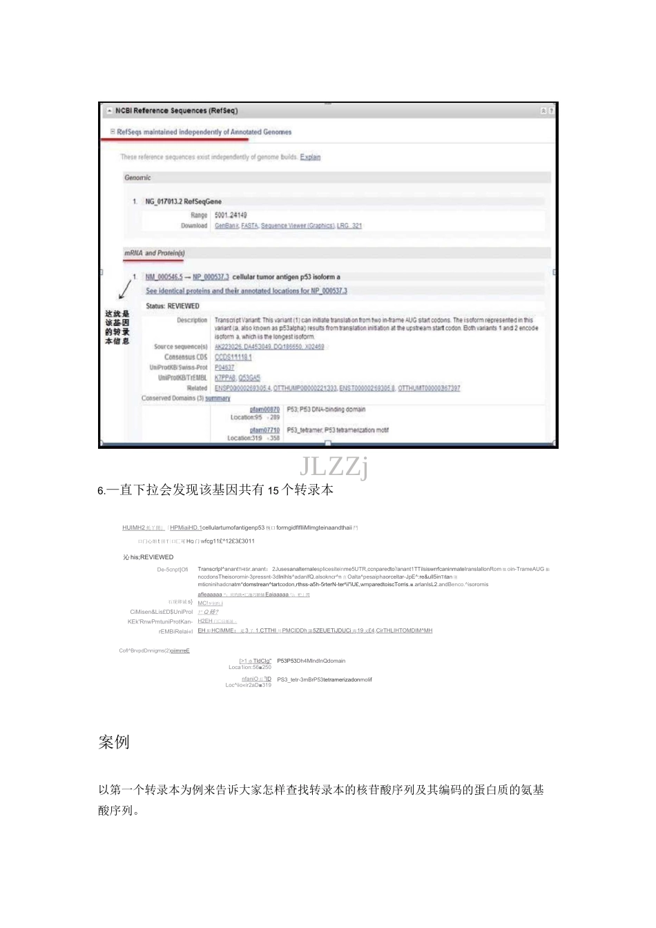 NCBI 良心教程,寻找基因转录本序列及相关编码蛋白_第3页
