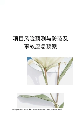 项目风险预测与防范及事故应急预案完整版