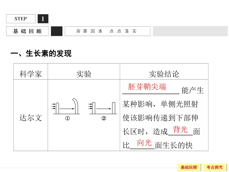 植物生长素的发现和作用复习课_第3页