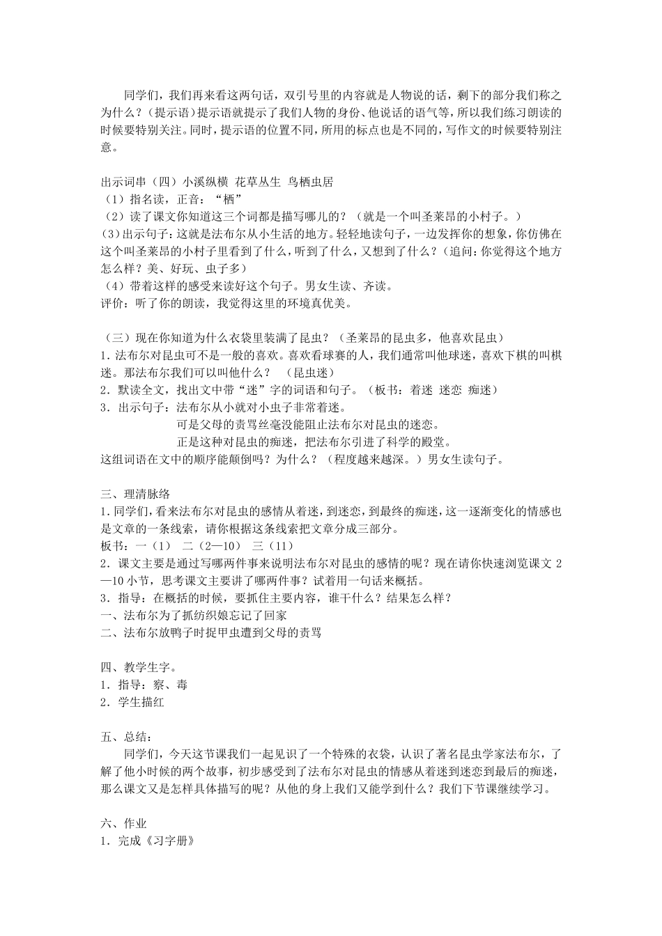 装满昆虫的衣袋（第一课时）_第3页