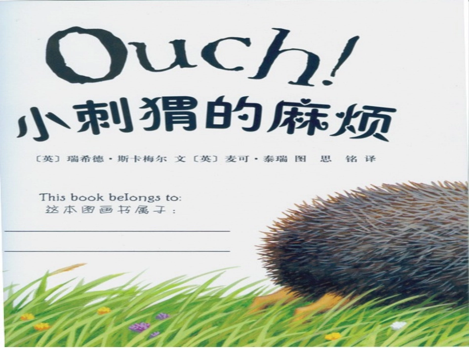 小刺猬的麻烦_第2页