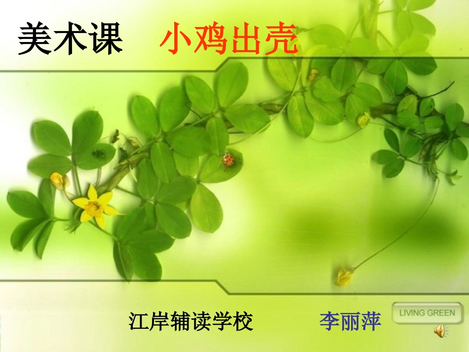 小鸡出壳课件_第1页