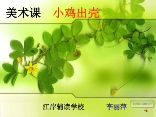 小鸡出壳课件