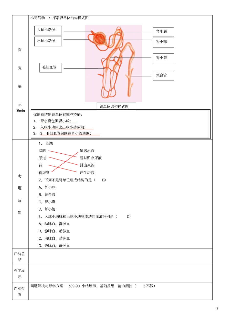 七年级生物下册11泌尿系统的组成学案新版苏教版_第2页