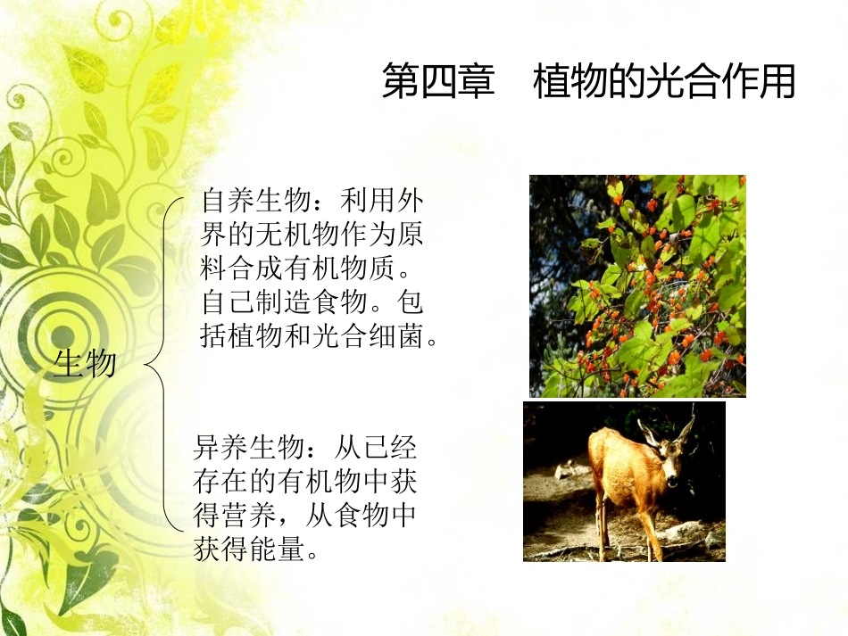 光与光合作用_第2页