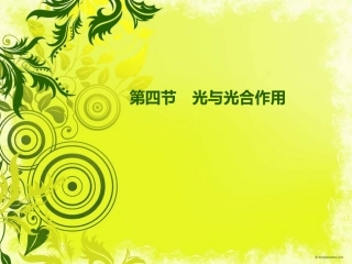 光与光合作用