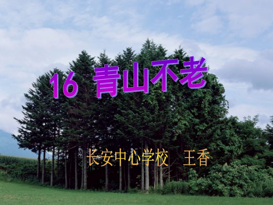 青山不老教学课件_第2页