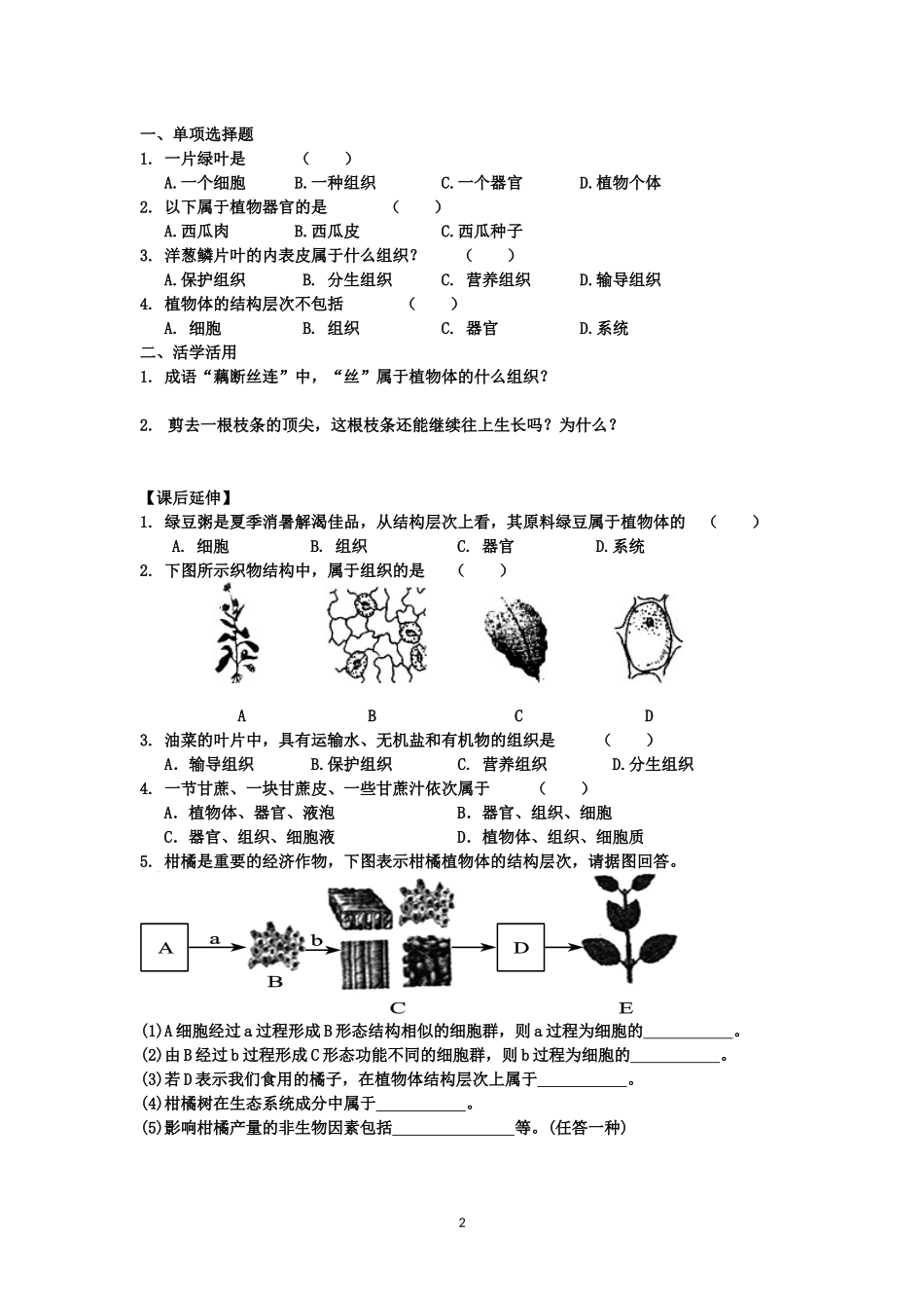 植物体的结构层次导学案修改版_第2页