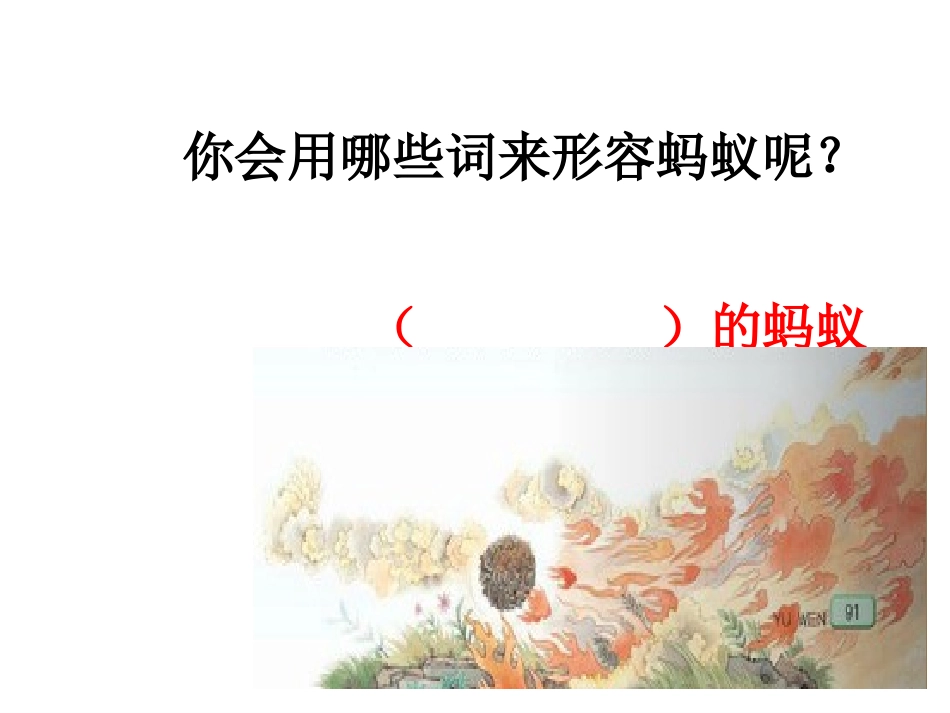 《生命的壮歌》《蚁国英雄》_第3页