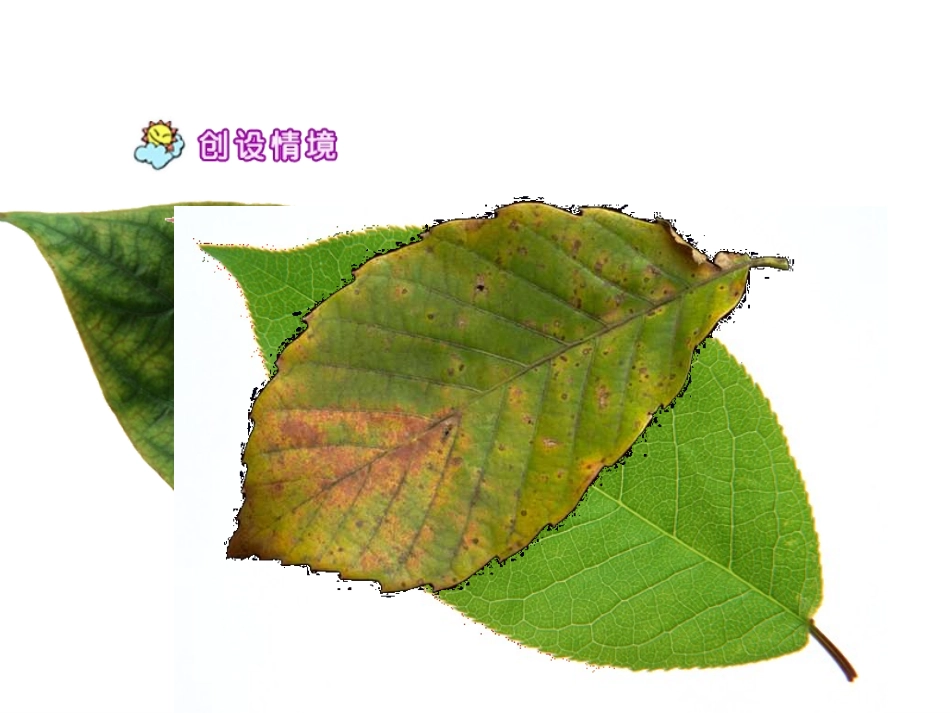 人教版小学语文二年级上册《蓝色的树叶》PPT课件_第1页