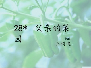 父亲的菜园课件