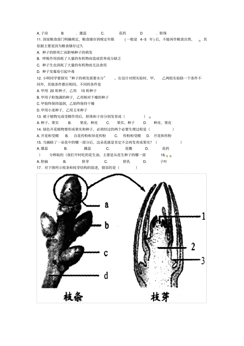 七年级生物被子植物的一生测试题_第2页