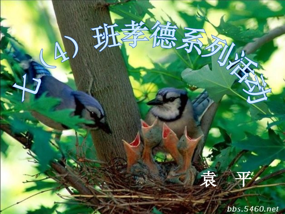 百善孝为先——感恩父母主题班会_第1页