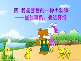 （五上）四我最喜爱的一种动物