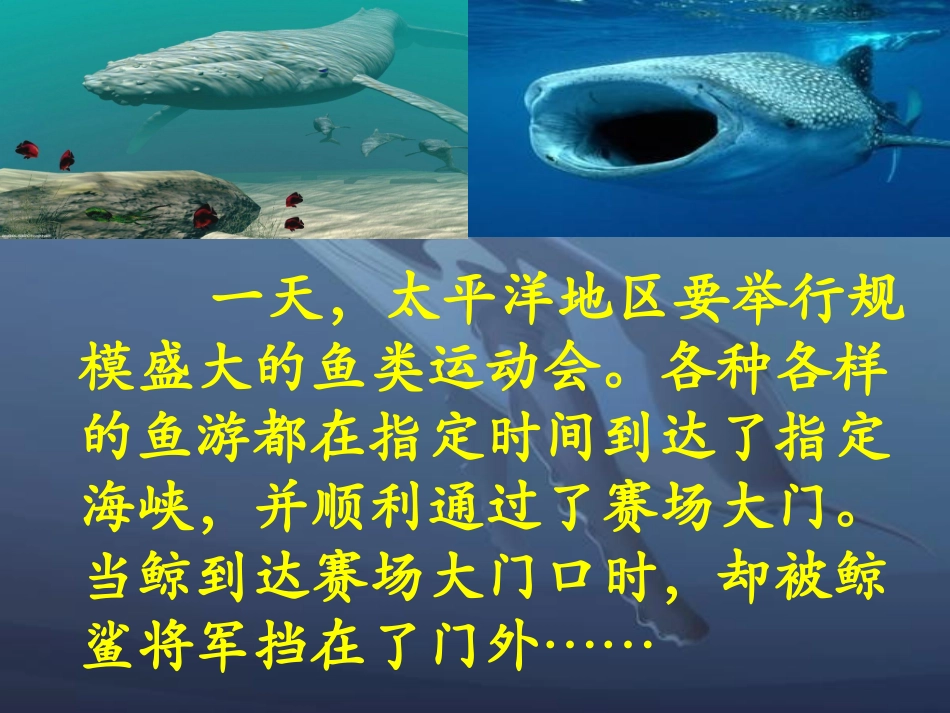 《鲸》教学课件_第2页