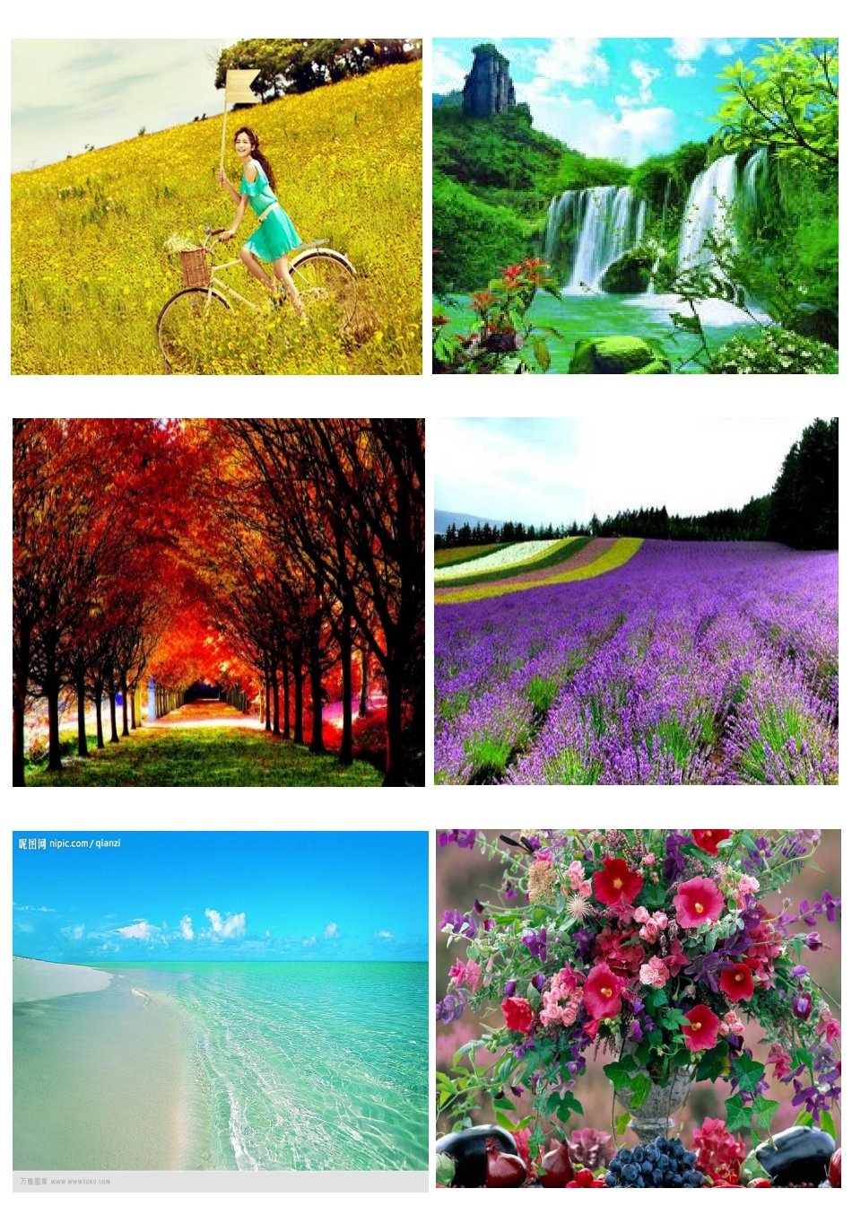 风景水果蔬菜图片_第2页