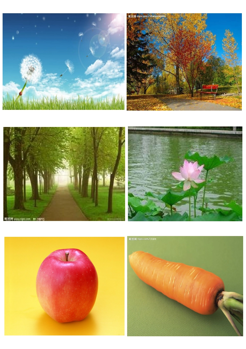 风景水果蔬菜图片_第3页