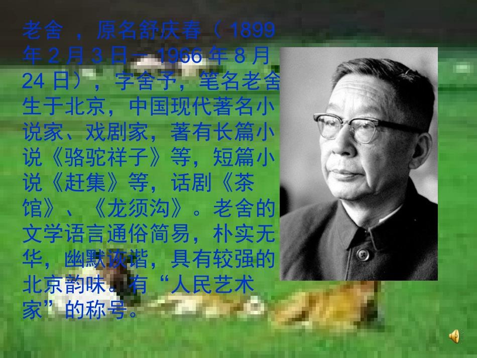 苏教版小学语文六年级上册《草原》课件之一_第2页