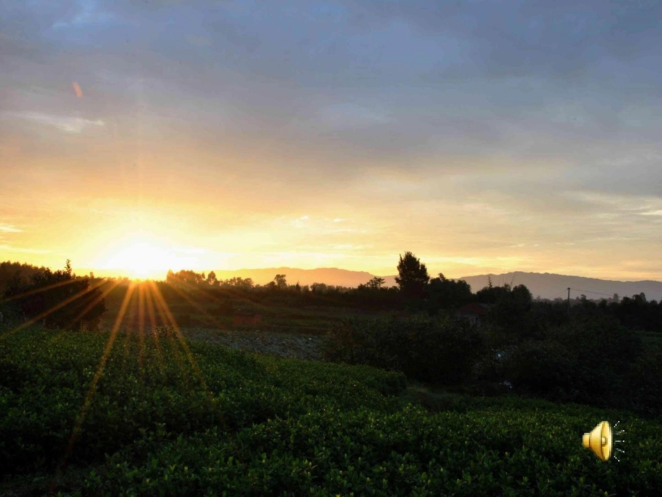 人教版四年级下册《乡下人家》_第2页