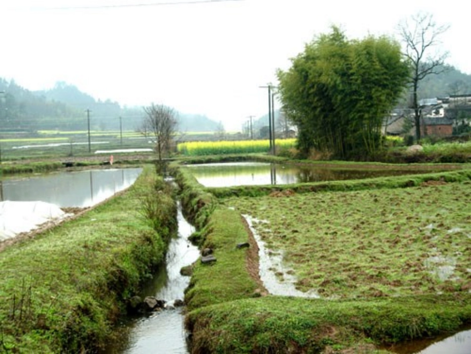 人教版四年级下册《乡下人家》_第3页
