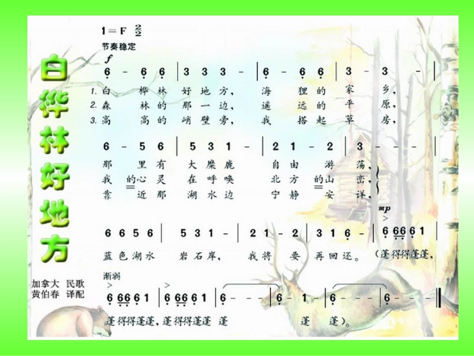白桦林好地方_第1页