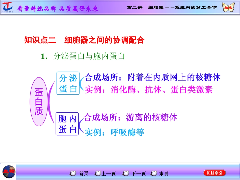 第二讲细胞器——系统内的分工合作_第3页
