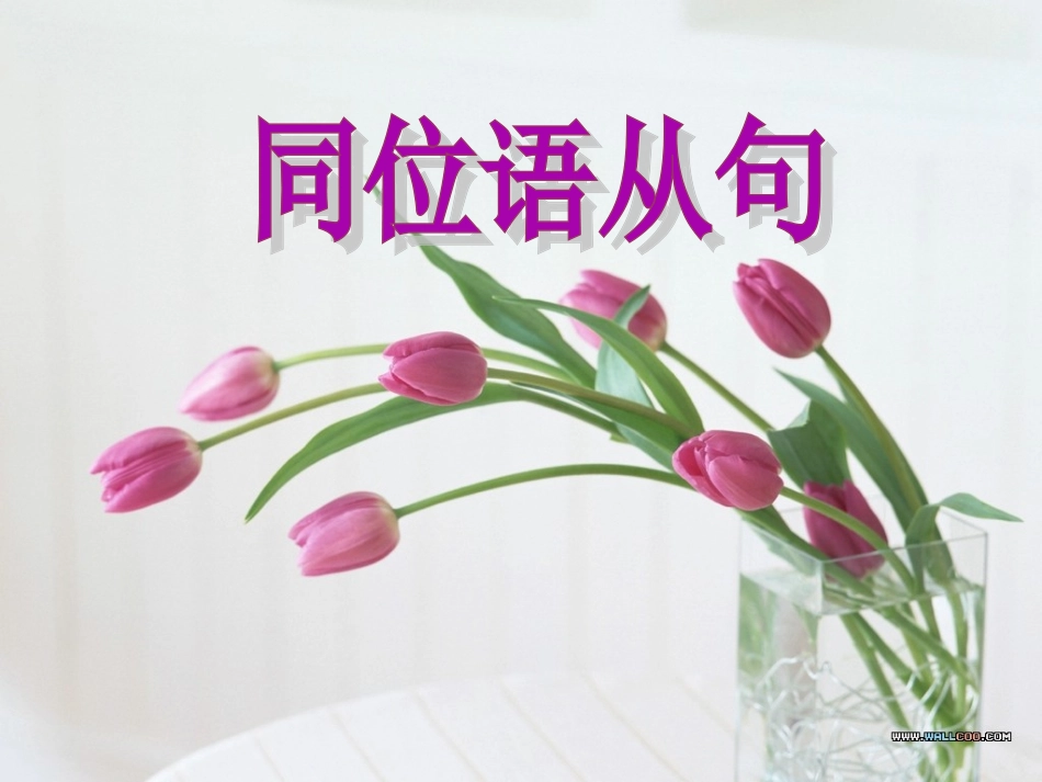高中同位语从句_第2页
