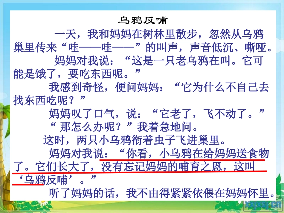 《乌鸦反哺》课件_第3页