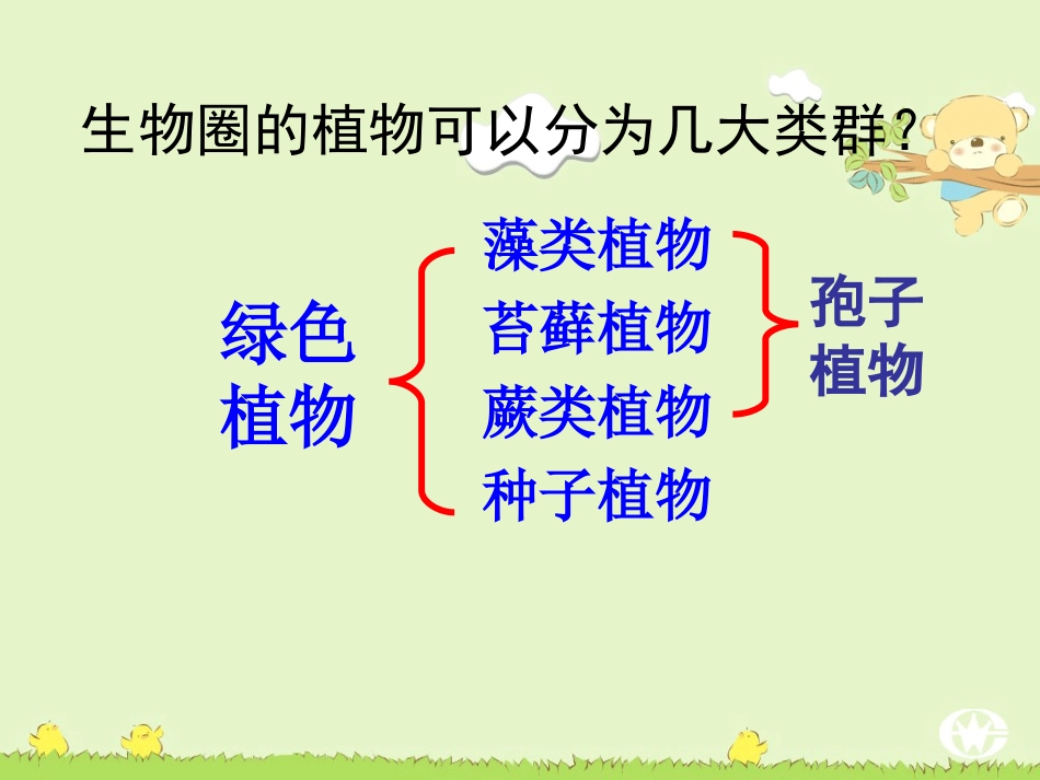 第一节藻类、苔藓和蕨类植物（课件）_第2页